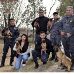 Renovación del plantel canino: entregan cachorros y promueven adopciones responsables