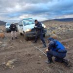 La Policía detuvo a un cazador furtivo que transportaba ciervos y un arma de fuego sin autorización