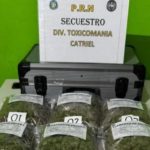 Catriel: secuestraron más de un kilo de marihuana y cocaína en allanamiento