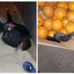 Roca: la Policía detuvo a un hombre por intento de robo a un comercio y secuestró una moto con pedido activo