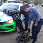 Bariloche: la Policía detuvo a un hombre que le sustrajo una cartera y un celular a una mujer