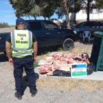 Catriel: decomisan 300 kilos de carne transportada de forma irregular